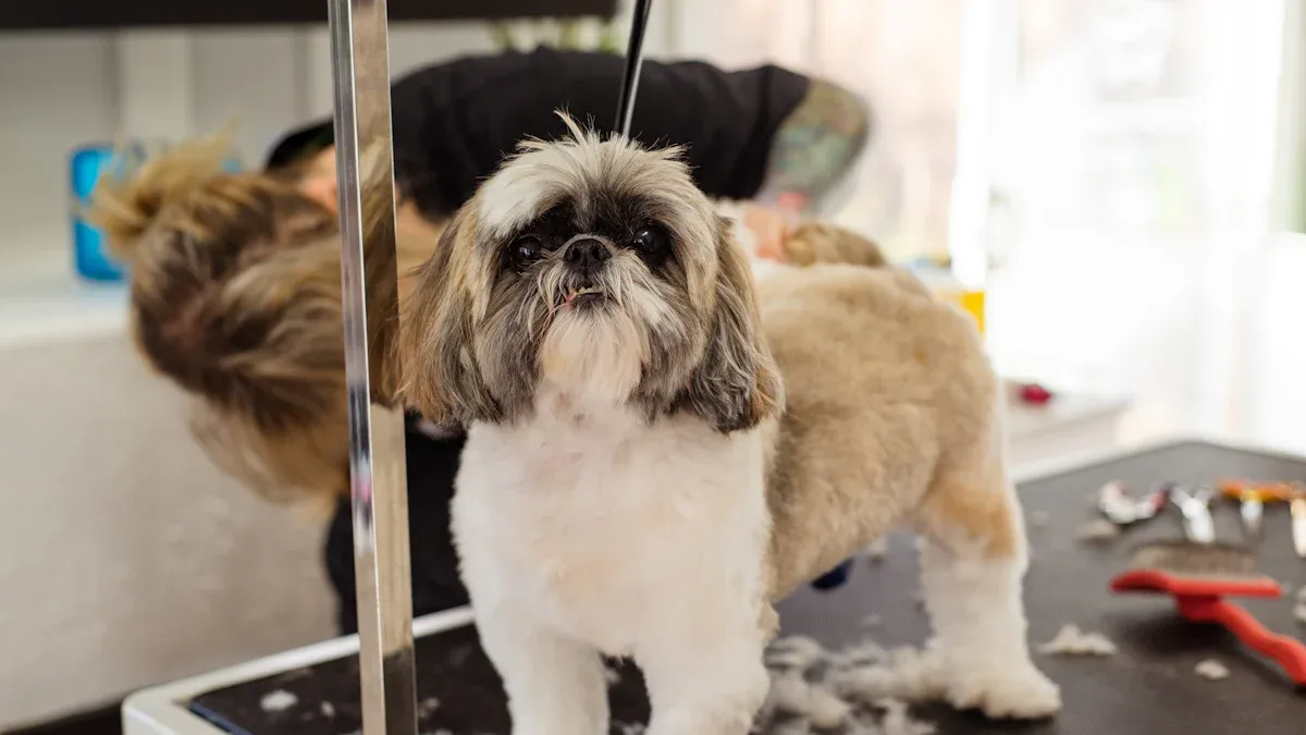 Shih Tzu Care: A Complete Guide to a Happy and Healthy Shih Tzu