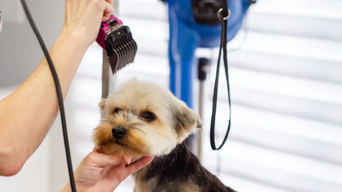 Top 5 Grooming Secrets for Lhasa Apsos