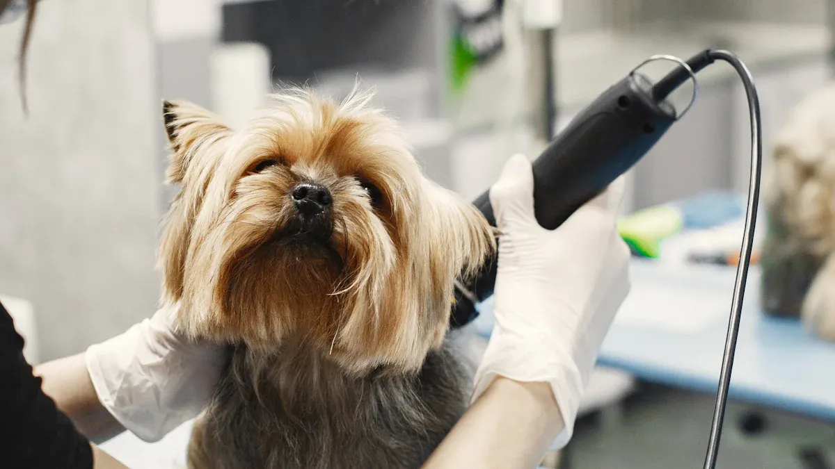 Secret #1: Brush Your Lhasa Apso Regularly